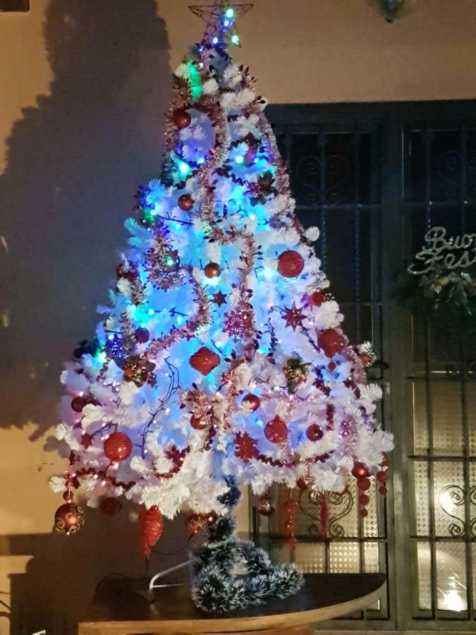 Alle Vecchie Mura Pistoia Buitenkant foto